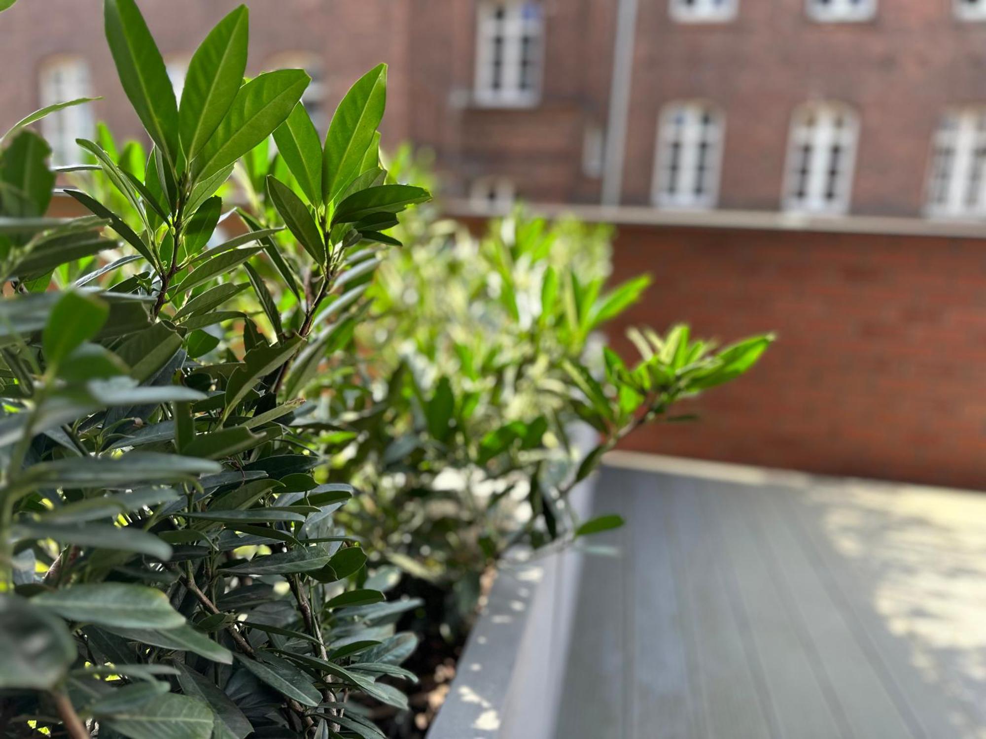 גדנסק Apartament Bastion Walowa 8 מראה חיצוני תמונה